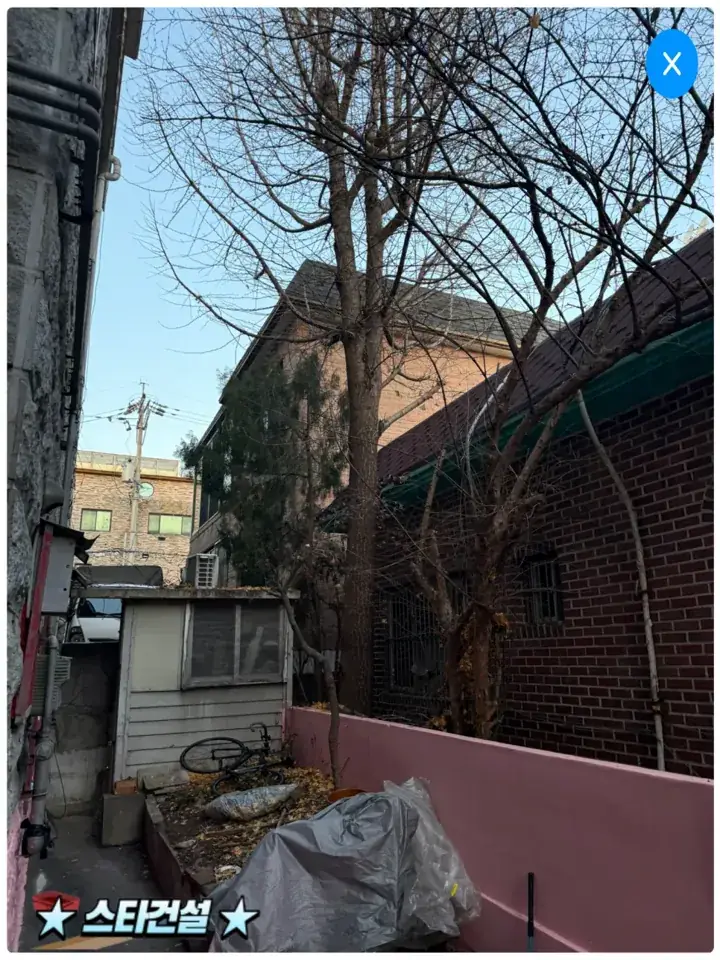 안산 크레인 위험목 벌목 현장