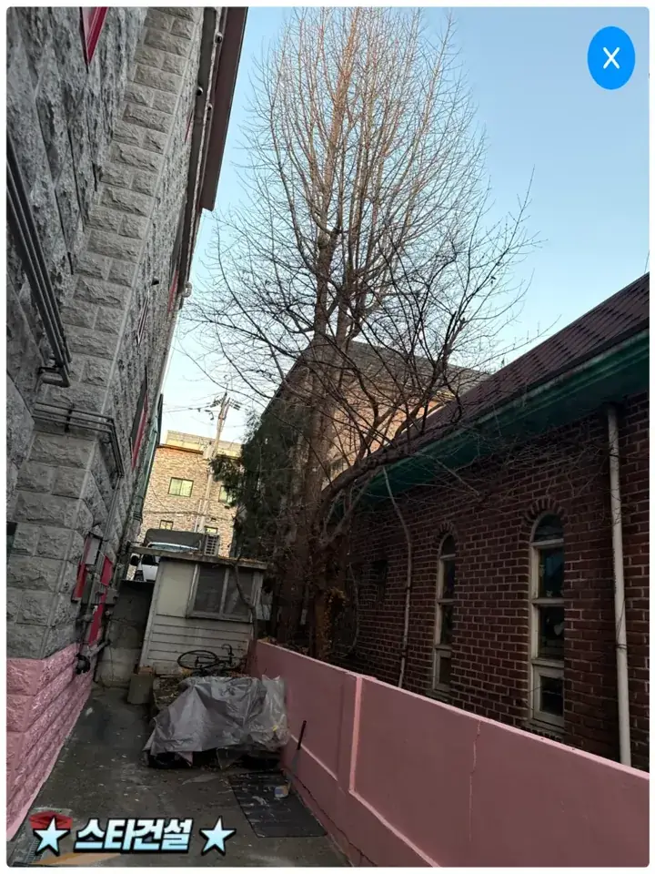 안산 크레인 위험목 벌목 현장 사진 2