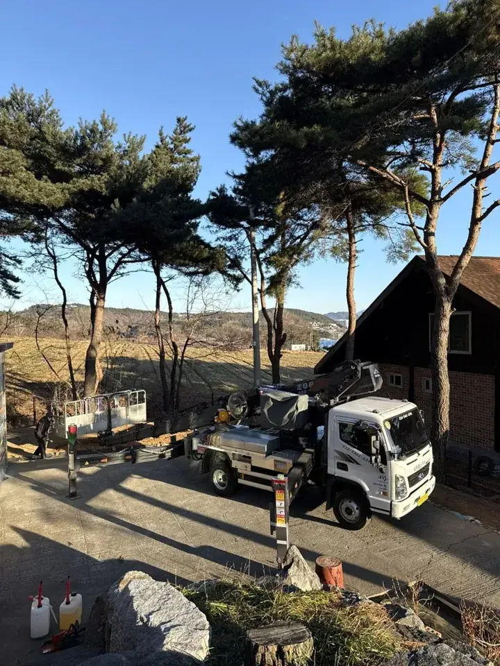 충남 보령 전원주택 소나무 벌목 현장 사진 2