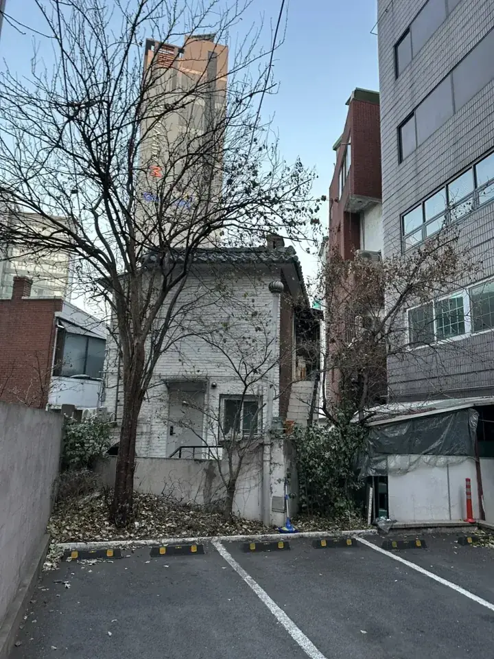 서울 주택가 주차장 벌목·가지치기 현장 사진 2